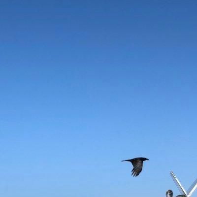 Bluesky