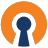 OpenVPN