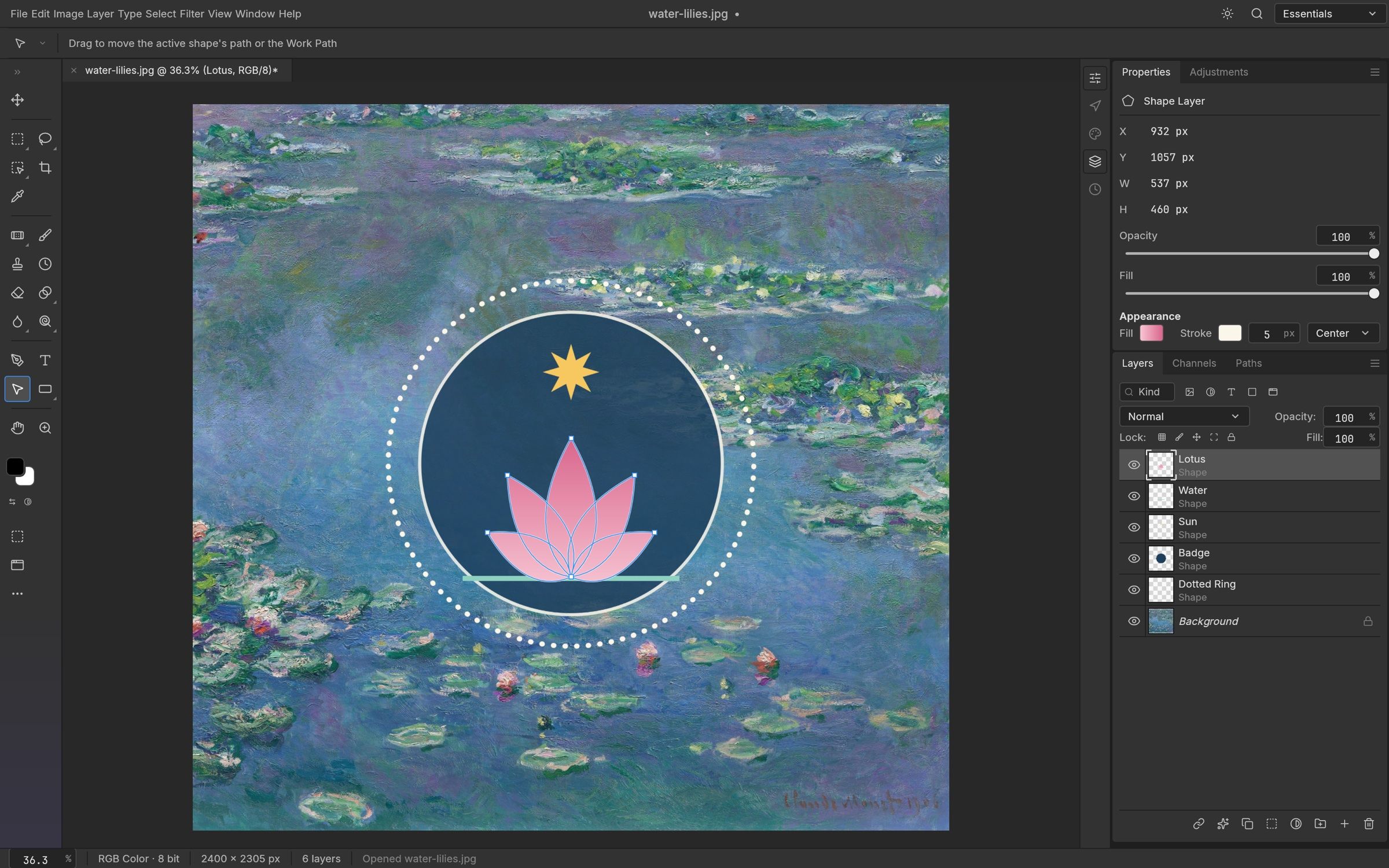 photocraft-vector.jpg